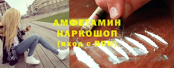 спайс Няндома
