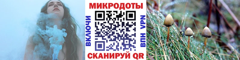 Галлюциногенные грибы Cubensis  блэк спрут зеркало  Менделеевск 
