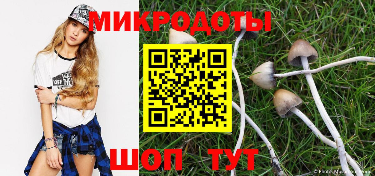 Менделеевск  Галлюциногенные грибы мухоморы  Вход с VPN 