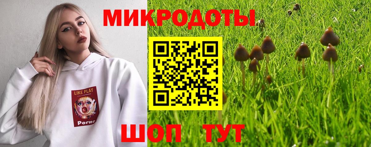 Галлюциногенные грибы Psilocybine cubensis Менделеевск