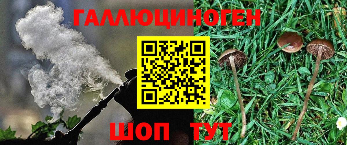 Псилоцибиновые грибы мицелий Менделеевск